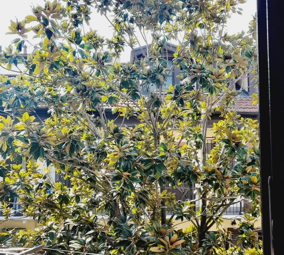 Flat In Milano, Isola Apartment